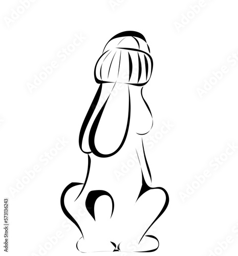 Hase