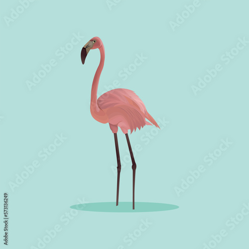 pink flamingo bird  flamingo vector art
