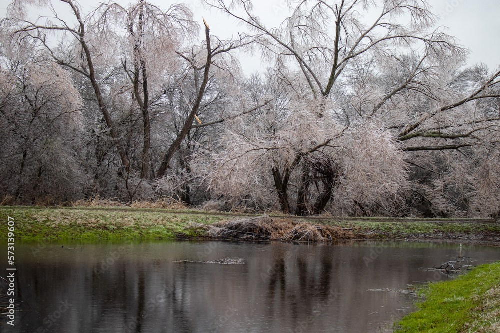 Pond and ice-covered trees from a winter storm in Austin Texas Pond and ice-covered trees from a winter storm in Austin Texas
