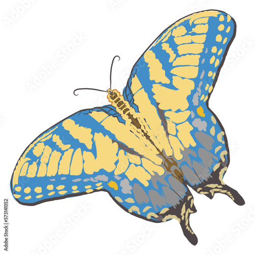 Illustration of a butterfly / tattoo image