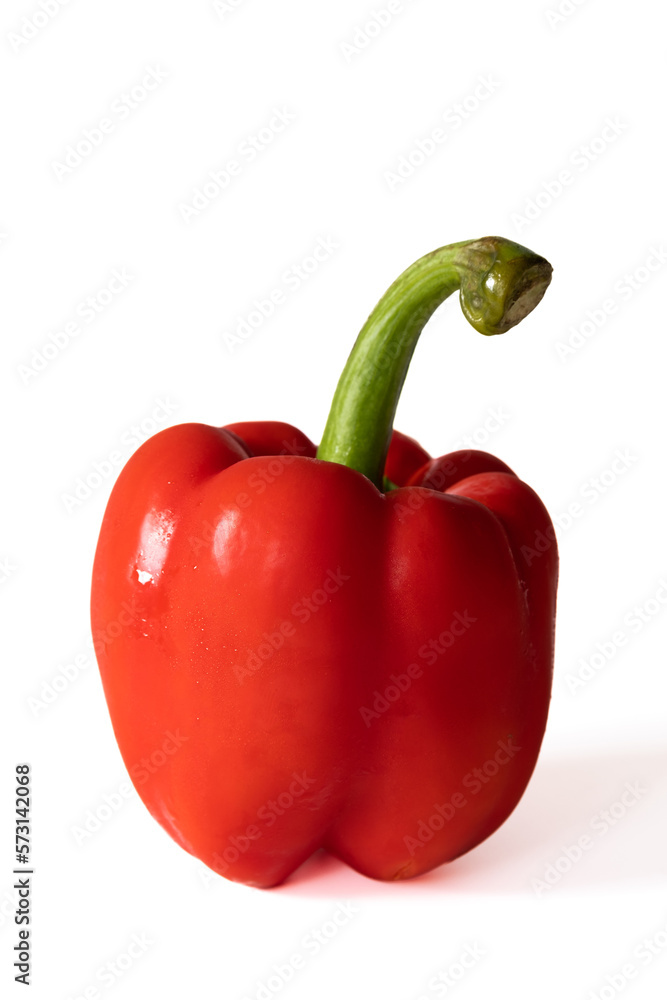 Red sweet bell pepper with water drops isolated on white background.. Red sweet bell pepper with water drops isolated on white background..