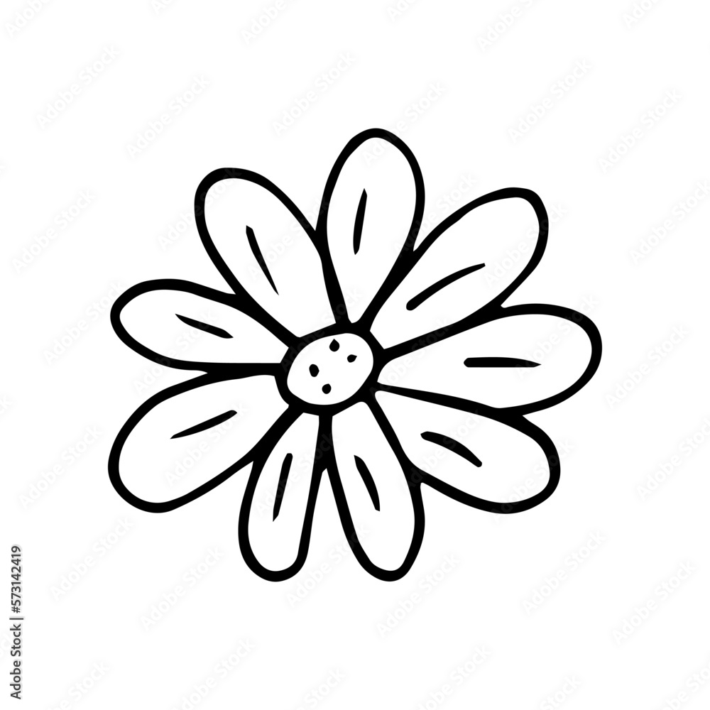 camomile hand drawn in doodle style. simple minimalistic line art. monochrome icon. plant. camomile hand drawn in doodle style. simple minimalistic line art. monochrome icon. plant.