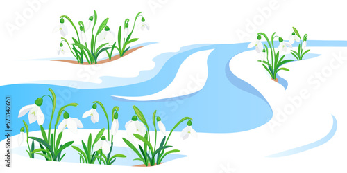Spring meltwater flow and the first flowers sprout through the snow. White snowdrops in a flat style. The concept of the arrival of spring and the awakening of nature after winter. Vector illustration
