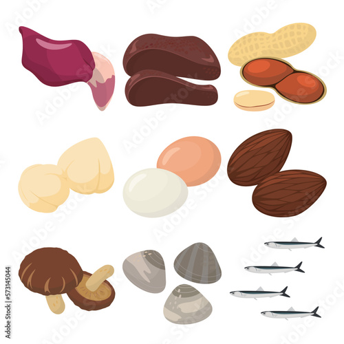 Vector illustration of foods containing vitamin B7.