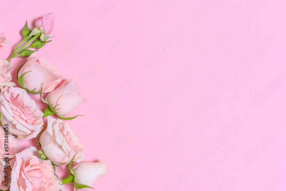 Pink roses on a pink background. Mother's Day, Valentine's Day, birthday celebration concept. Greeting card. Copy space for text, top view