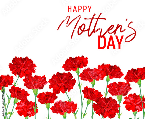 Red carnations. A greeting card for Mother's Day. Vector vintage illustration. Spring flowers as a gift to your beloved parents. Gratitude to close people.