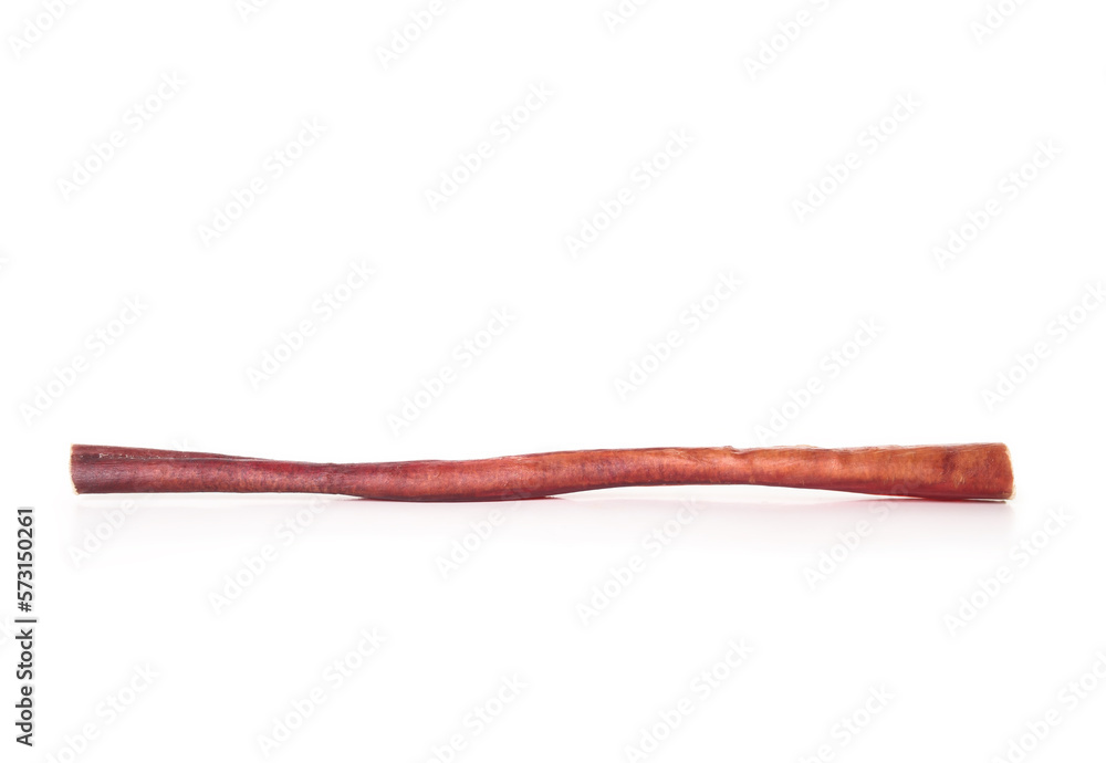 Isolated beef bull stick or dog chew stick. Side view of long red orange beef pizzle stick for strong chewer. Long-lasting behavioral enrichment for dog dental and mental health. Selective focus. Isolated beef bull stick or dog chew stick. Side view of long red orange beef pizzle stick for strong chewer. Long-lasting behavioral enrichment for dog dental and mental health. Selective focus.