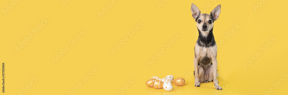 easter dog banner, cute funny pet with easter eggs on yellow background