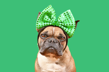 French Bulldog dog wearing St. Patrick’s Day costume headband with bow and shamrock on green background