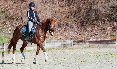 Dressage horse with rider in the riding arena, main motif on the left of the picture with space for text on the right..