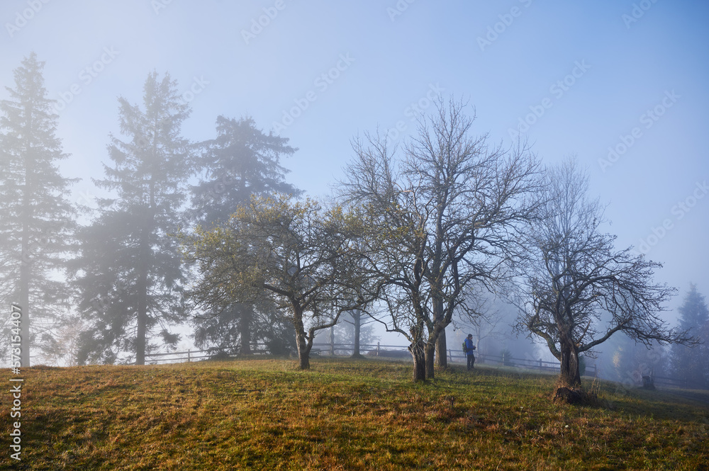 Male tourist standing on grassy hill trail near misty trees. Male tourist standing on grassy hill trail near misty trees.