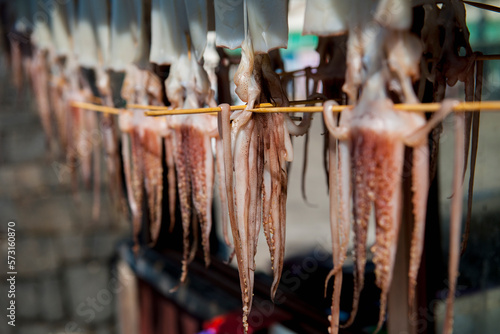 Squid hanging out to dry in Jeju Si on Jeju Island photo