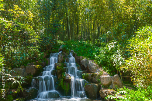 waterfall in a bamboo forest photo