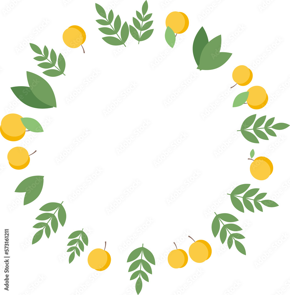 Round frame of apricots and green leaves in flat Round frame of apricots and green leaves in flat