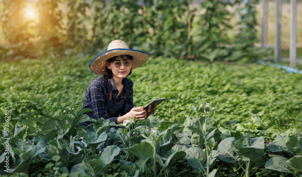 Asian woman farmer using digital tablet standing in vegetable garden at greenhouse, Business agriculture technology concept, quality smart farmer.