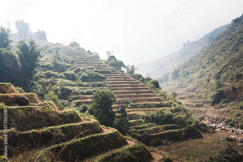 Rice terraces in Asia