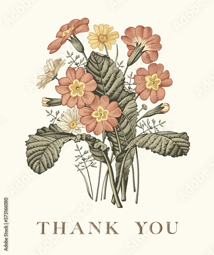 Wedding marriage thanks invitation chamomile primrose Beautiful blooming flowers fabric Vintage greeting card. Frame. Drawing engraving isolated floral Wallpaper background Vector baroque Illustration