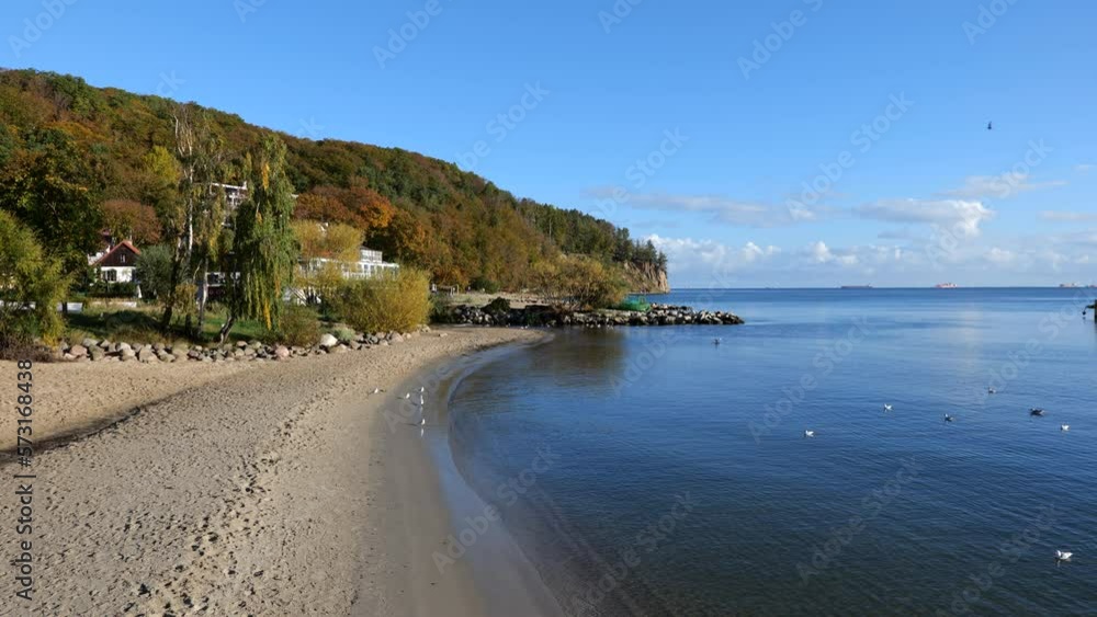 custom made wallpaper toronto digitalSandy beach at the Baltic Sea in the morning, Gdynia Orlowo, Poland.