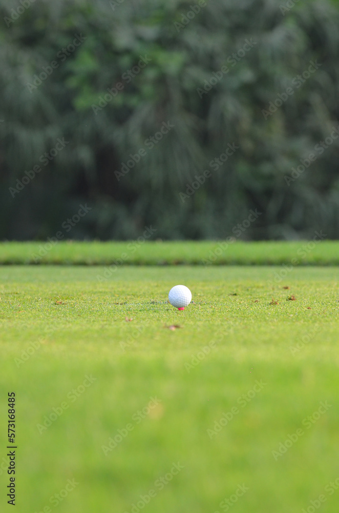 Golf ballon ton tee grass with blurred beautiful landscape of a golf course. Golf ballon ton tee grass with blurred beautiful landscape of a golf course.
