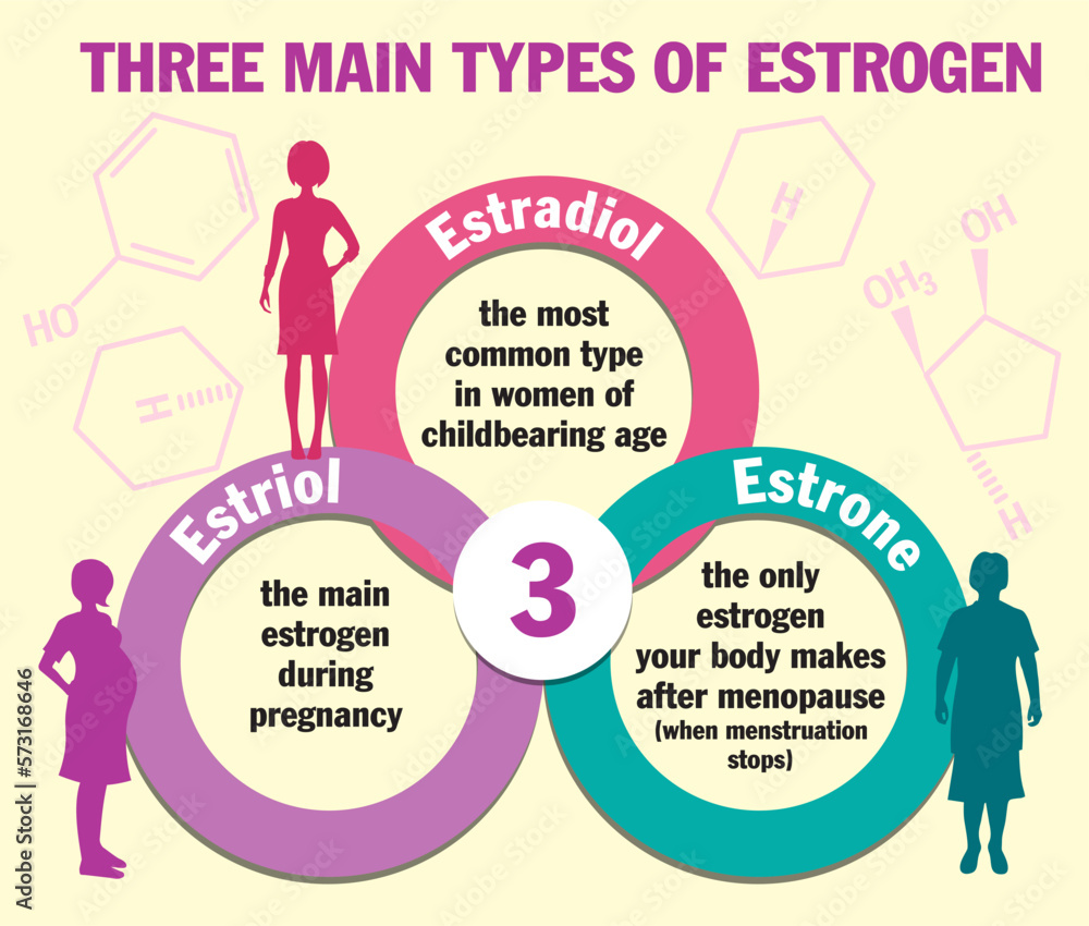Three Main Types Of Estrogen Infographics Estradiol Estrone And Estriol Estrogen Hormone