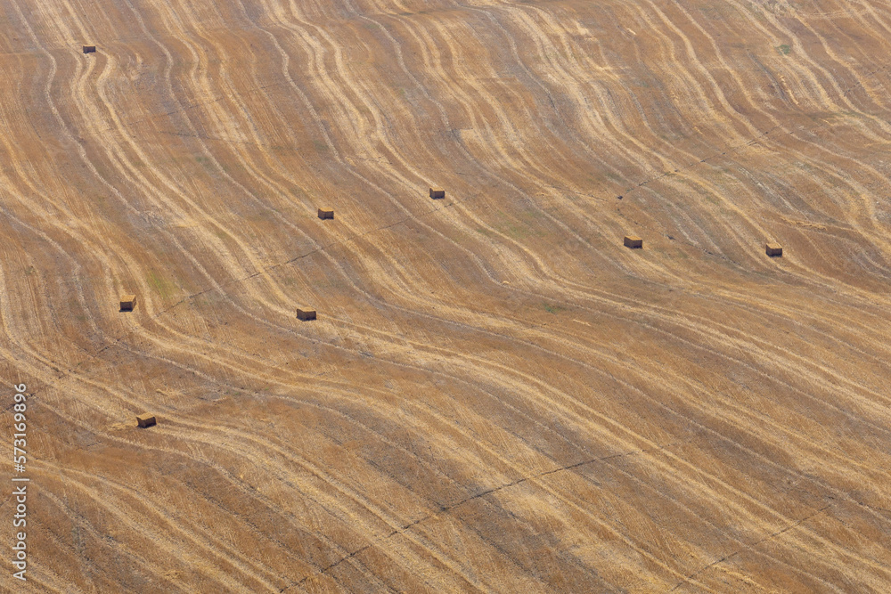 Colline marchigiane Colline marchigiane