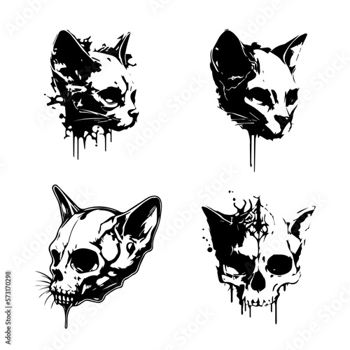  4 teschi gatto