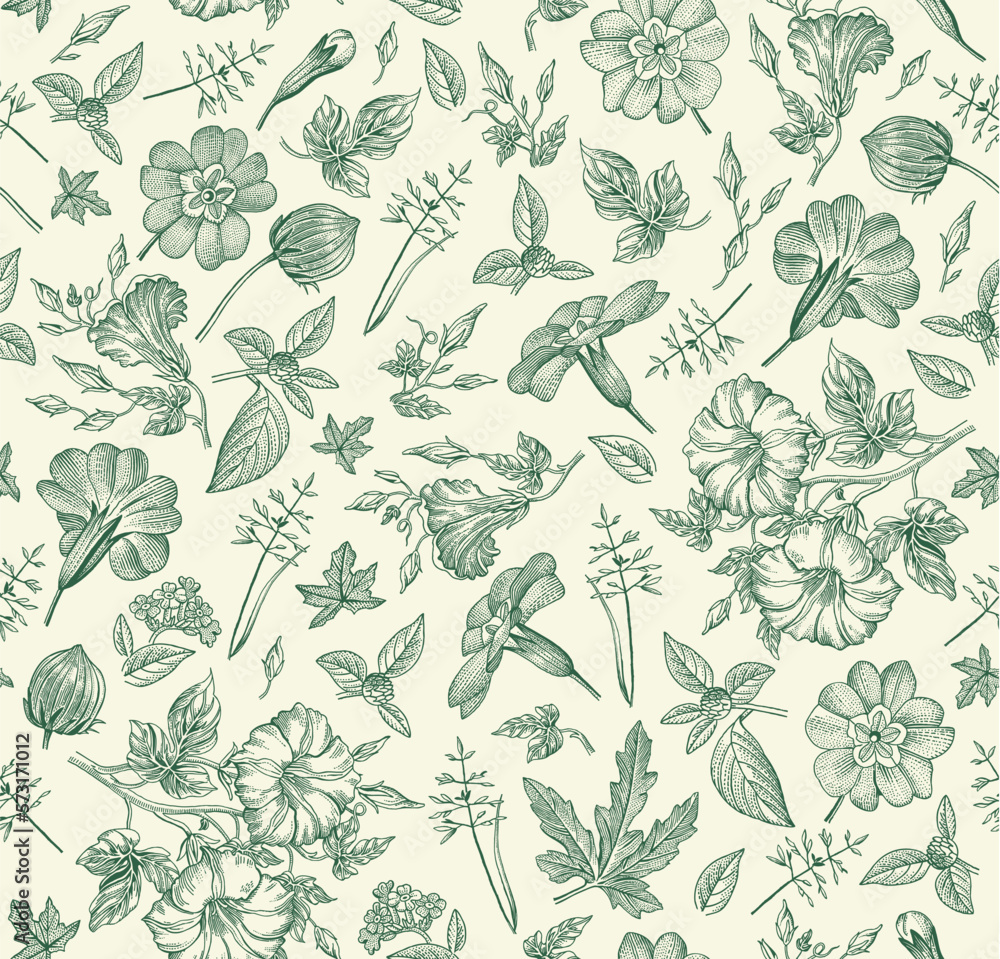 Fototapeta premium Seamless pattern. Beautiful fabric blooming realistic isolated flowers. Vintage background primrose petunia wildflowers. Wallpaper baroque retro Drawing engraving sketch. Vector victorian Illustration