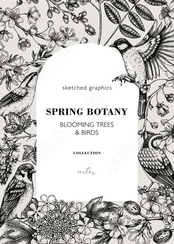 Vintage spring frame designs with birds, flowers, leaves and blooming tree branches. Almond, willow, rowan, willow, cherry blossom floral sketches for prints. Floral card or invitation template.