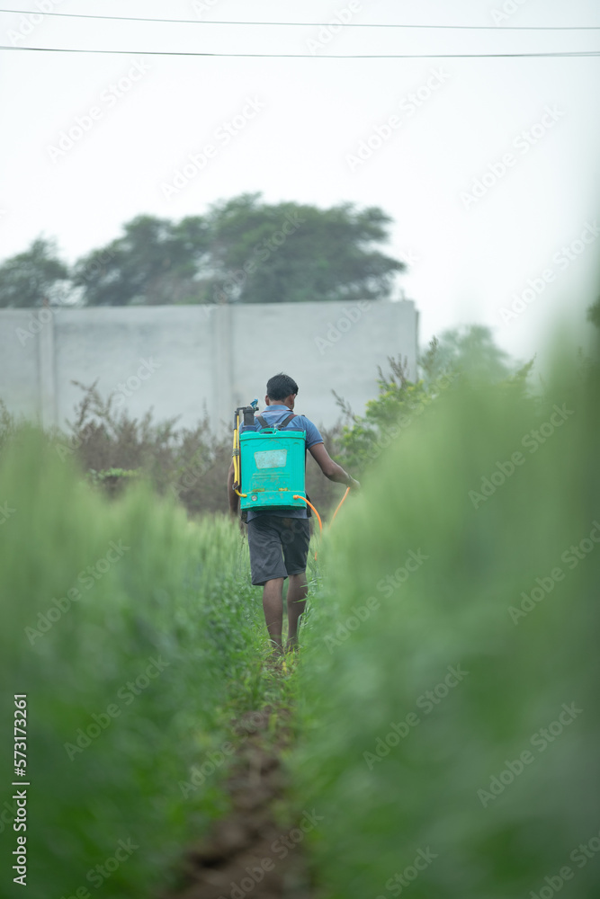 Farmer sprays pesticides chemical fertilizer in the wheat field to improve the crops productivity. selective field, shallow depth of field, or blur. Farmer sprays pesticides chemical fertilizer in the wheat field to improve the crops productivity. selective field, shallow depth of field, or blur.
