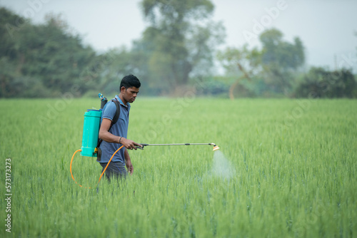 Farmer sprays pesticides chemical fertilizer in the wheat field to improve the crops productivity. selective field, shallow depth of field, or blur.
