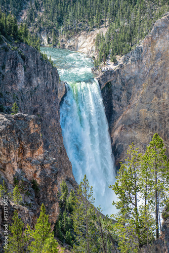 lower falls in Yellowstone National Park