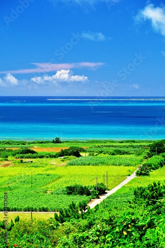 沖縄県小浜島西大岳から見た南側の景色