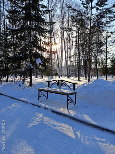 Wallpaper Mural bench in the park Torontodigital.ca