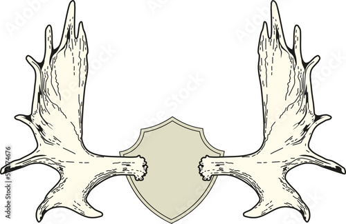 large elk antlers hunting trophy wall decoration