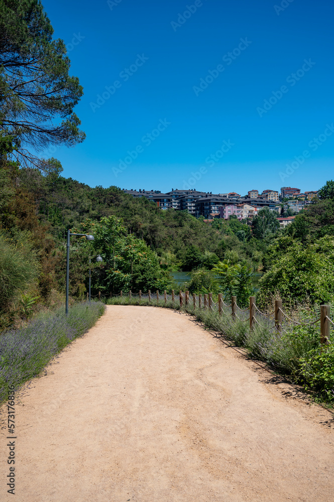 Landscape with a path in a sand park without people among trees and bushes and a green lake on a sunny summer day.