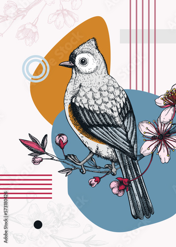 Collage-style bird card. Sketched Tufted titmouse on cherry trendy poster. Creative designs with botanical illustrations, geometric shapes, and abstract elements for nature print, wall art, packaging.