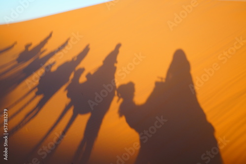 silhouette of a camel in the desert