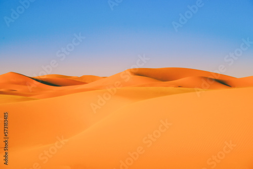 sand dunes in the desert © Ran