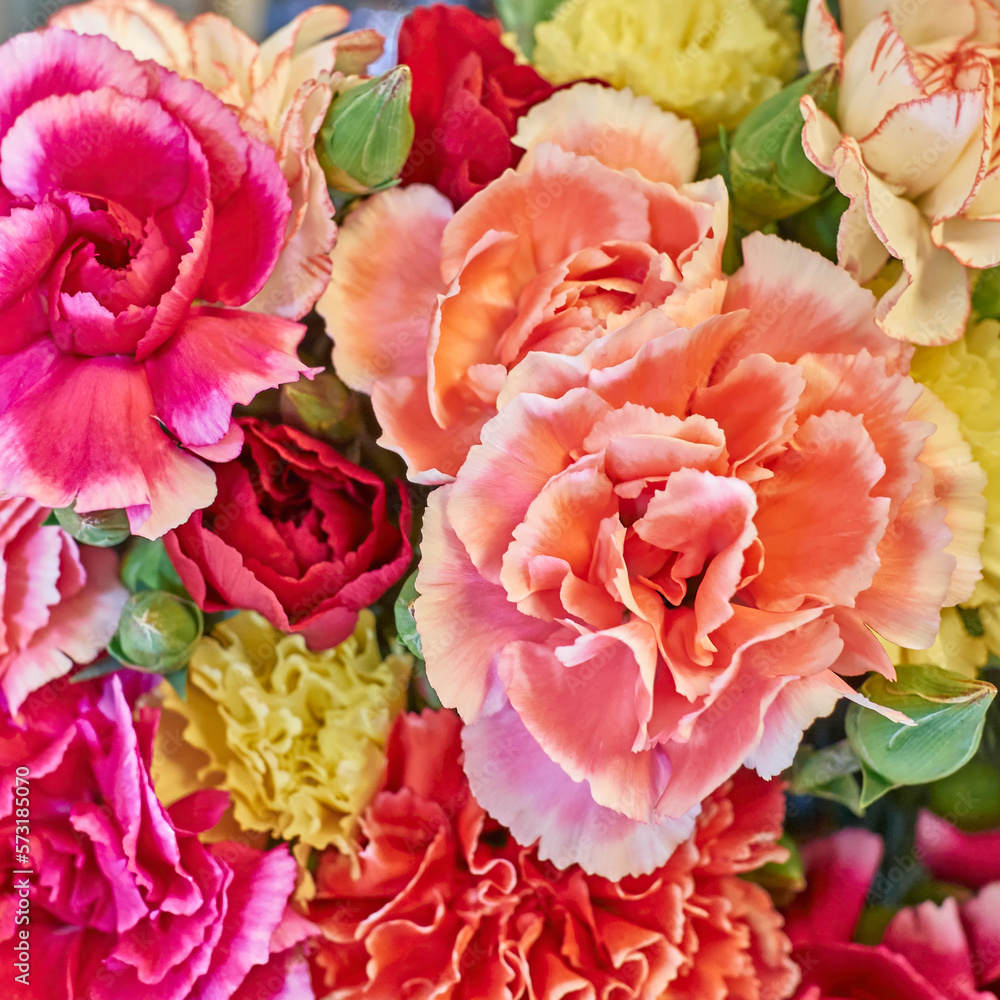 Bright red, pink and orange carnation flowers bouquet topo view closeup. Natural, romantic background. Bright red, pink and orange carnation flowers bouquet topo view closeup. Natural, romantic background.
