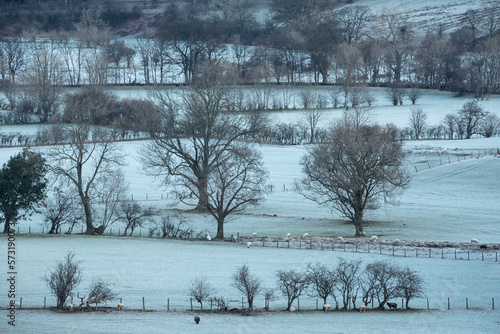 Dramatic beautiful Winter landscape image looking across countryside in Lake District with hard frost on the ground and crisp blue sky © veneratio
