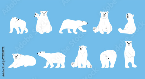 White sleeping winter polar bear. Animals wildlife in arctic. Tundra grizzly poses. Mother with cub. Mammal sitting or walking. Standing north predator. Vector illustration utter set