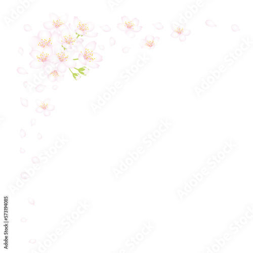 桜の花と花弁のフレーム