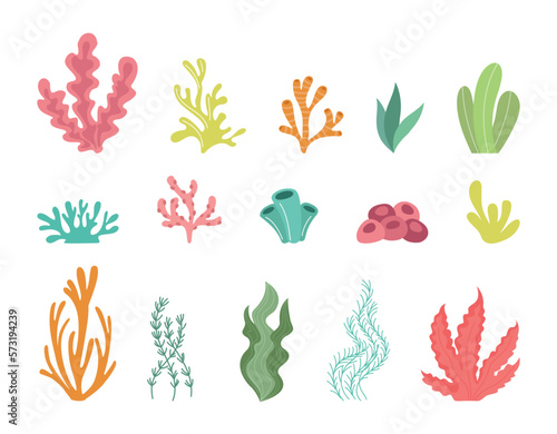 Seaweed set, simple coral reef colorful isolated elements. Underwater doodle flora and fauna, floral ocean summer, tropical plants, algae or kelp. Vector illustration tidy silhouettes