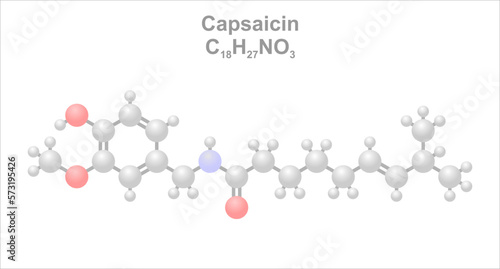 Simplified structural scheme of the capsaicin molecule.