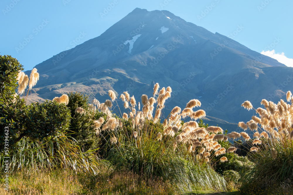 Mt Taranaki in Egmont National Park, New Zealand, with flax plants