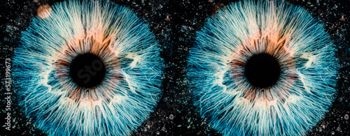 Quadro em tela two big eyes in the starry night