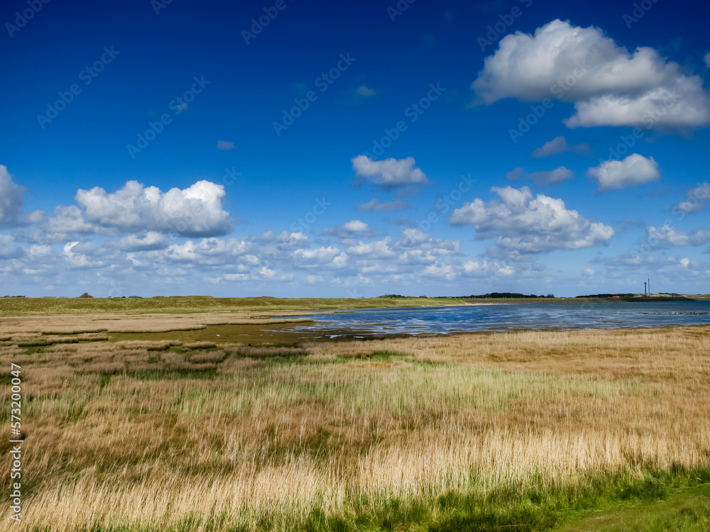 Landscape at Texel Landscape at Texel