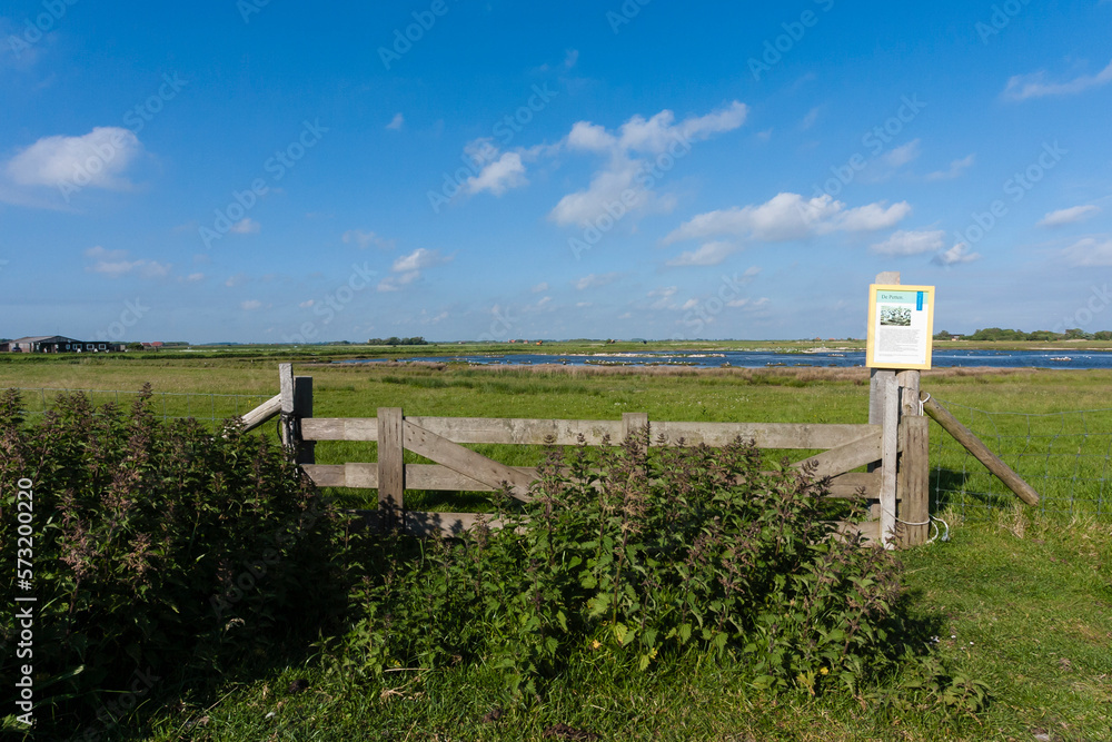 Fototapeta premium Landscape at Texel
