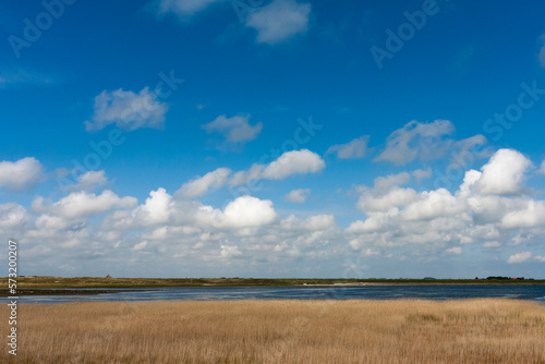 Landscape at Texel © Marc