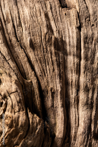 Old wood background. Old wooden texture background that has natural cracks.